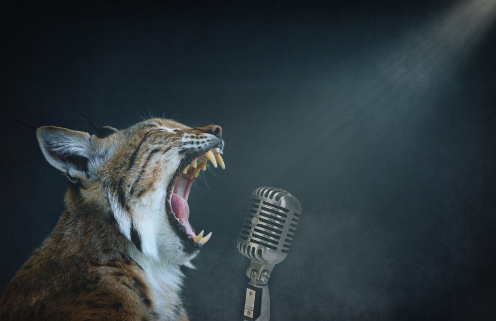 Découvrez les secrets de l'échauffement vocal idéal